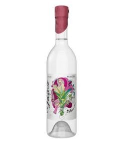 El Jolgorio Madrecuize Mezcal